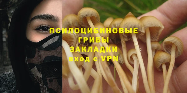ПСИЛОЦИБИНОВЫЕ ГРИБЫ Баксан