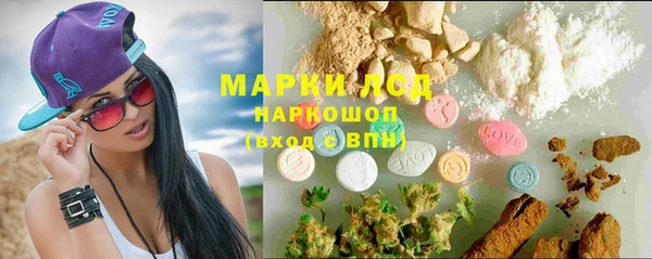 ПСИЛОЦИБИНОВЫЕ ГРИБЫ Баксан