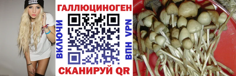 Псилоцибиновые грибы Cubensis Воскресенск
