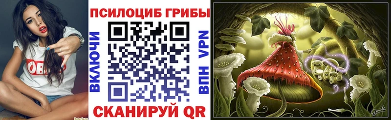 где можно купить   Воскресенск  Псилоцибиновые грибы MAGIC MUSHROOMS 